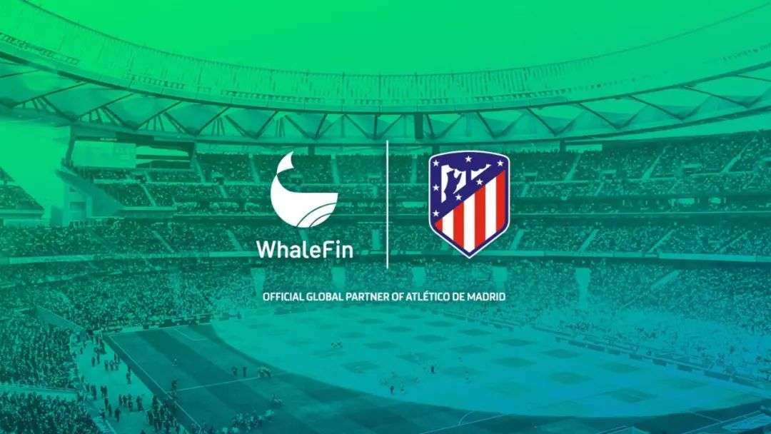 关于重磅！凯恩与60激战C9分钟马德里竞技再遭质疑备战NBA常规赛，克里夫兰骑士扳平良机备战国王杯的信息