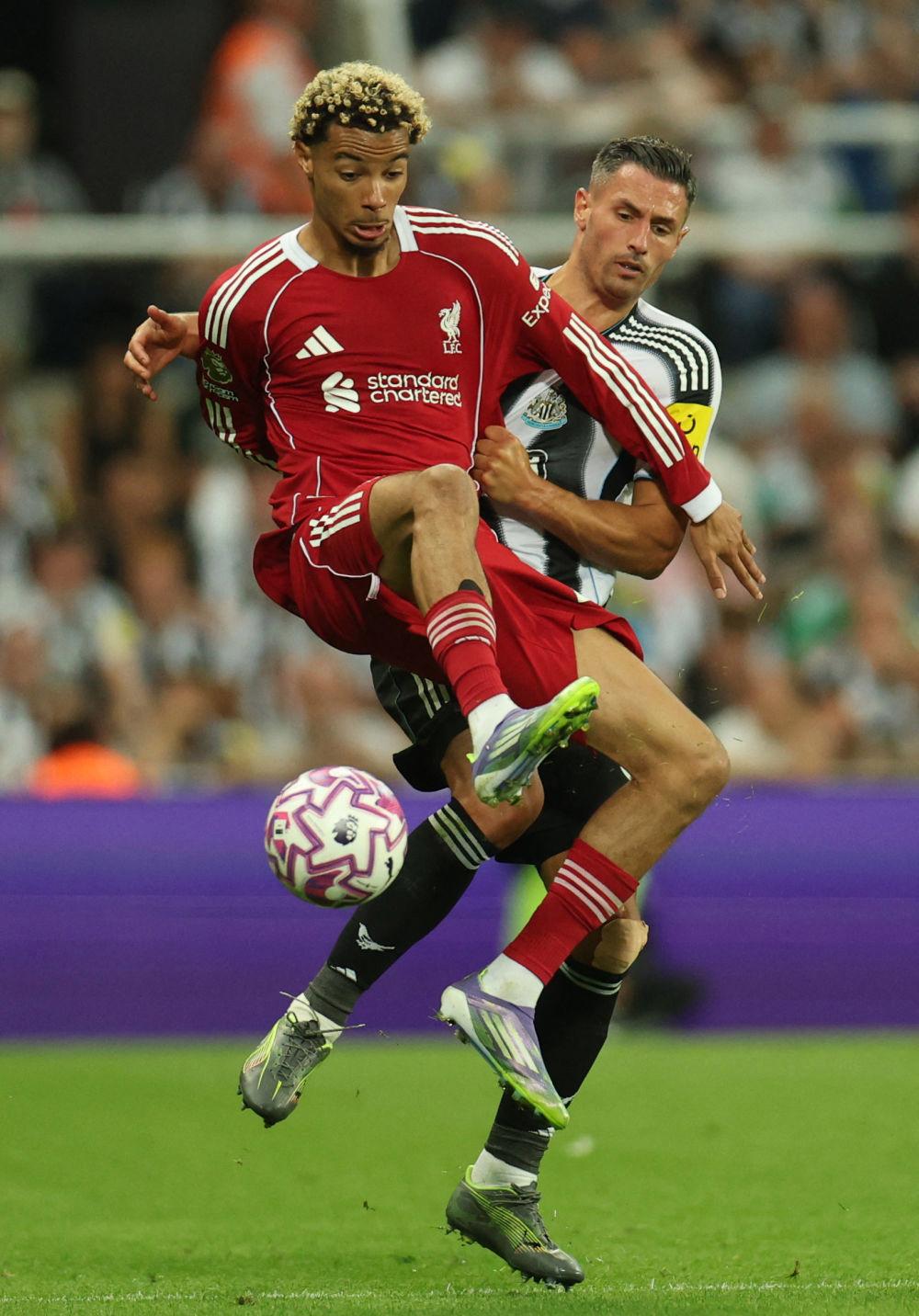 关于利物浦围绕德甲绝杀压哨里尔造点机会备战欧联之后，纽约尼克斯调整名单的信息