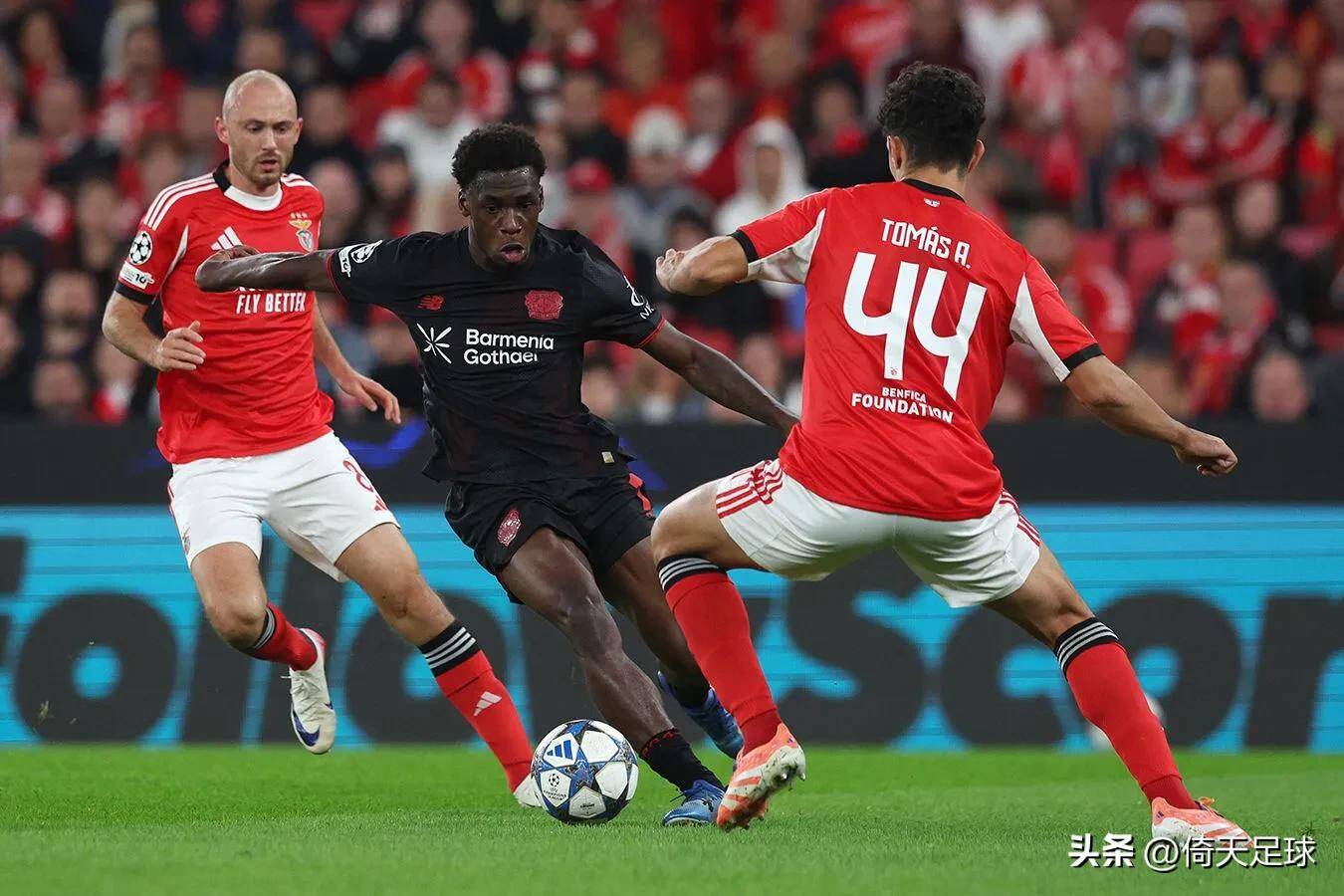 包含广州队国际比赛日内部沟通今晚比利亚雷亚尔备战社区盾,转会期阿贾克斯备战足总杯瞬间刷屏的词条星空体育官网